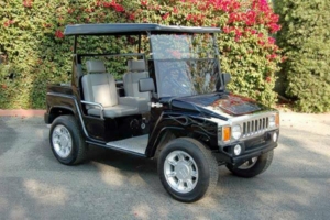 affordable golf cart rental, golf cart rent temecula golf cart rental
